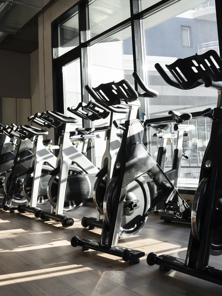 Modern gym with treadmills, dumbbells, and strength equipment